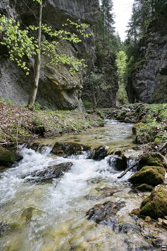 img00027.jpg