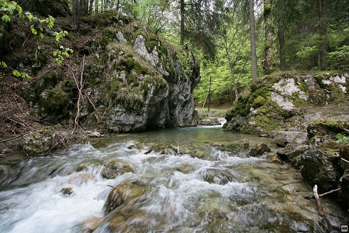 img00030.jpg