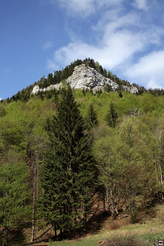 img00031.jpg