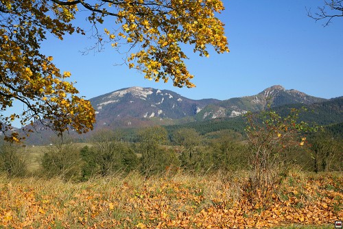 img00032.jpg