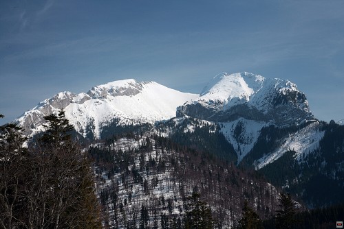 img00130.jpg